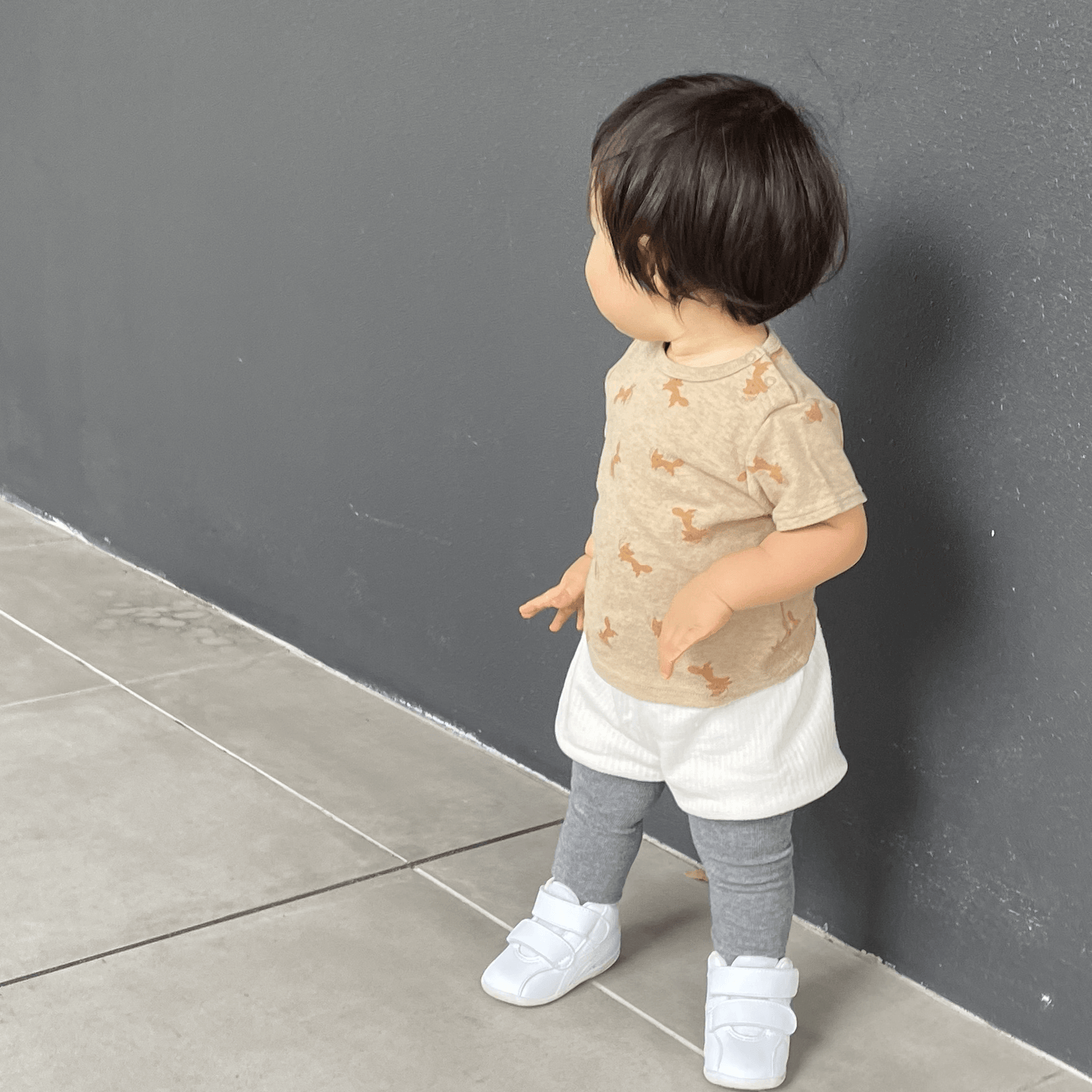 Fox and wheat tee shirt(brown)