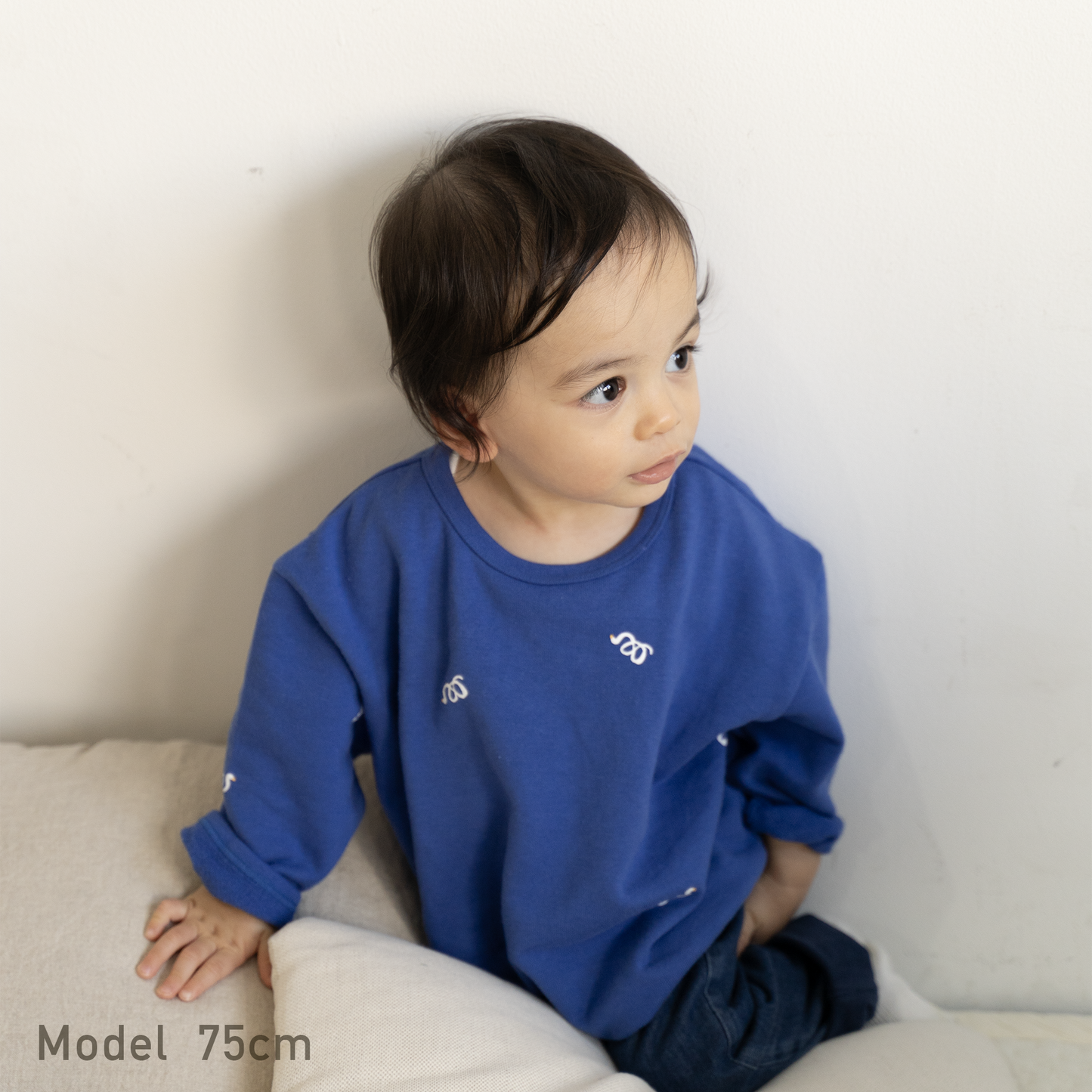 Swan big sweatshirt (lake blue)