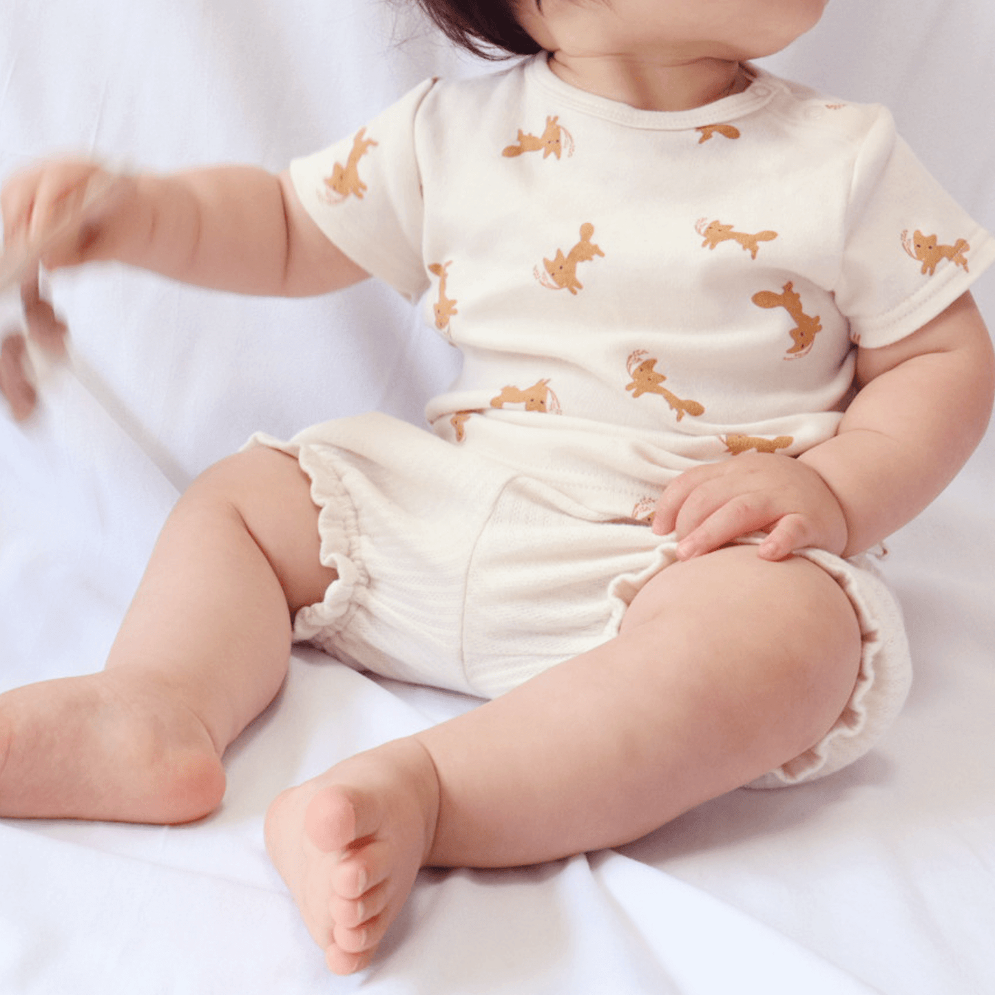 Fox and wheat tee shirt(ivory)